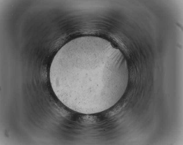 X0000096960261200802291128