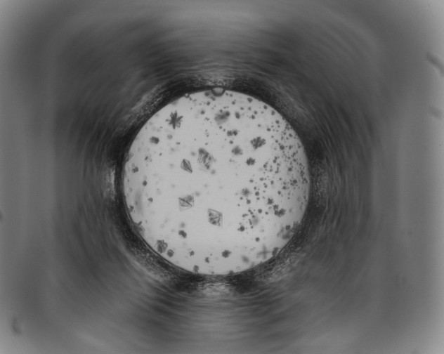 X0000096960262200802291128