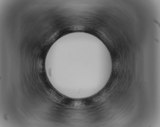 X0000096960264200802291128