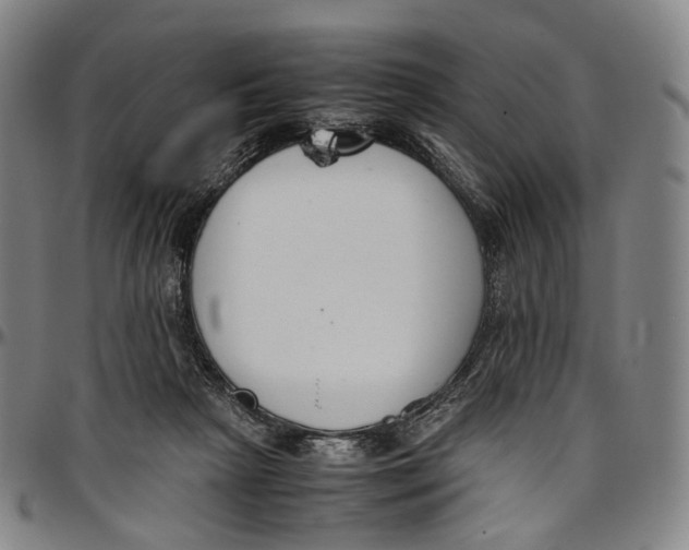 X0000096960265200802291128