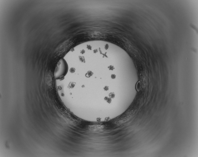 X0000096960266200802291128