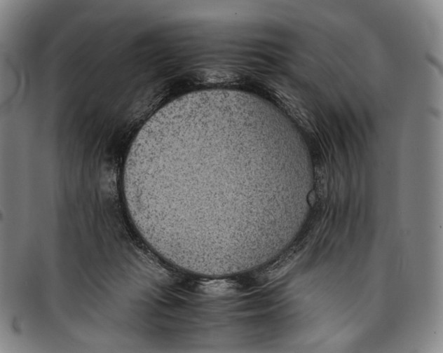 X0000096960269200802291128