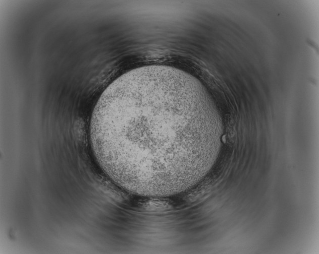 X0000096960270200802291128