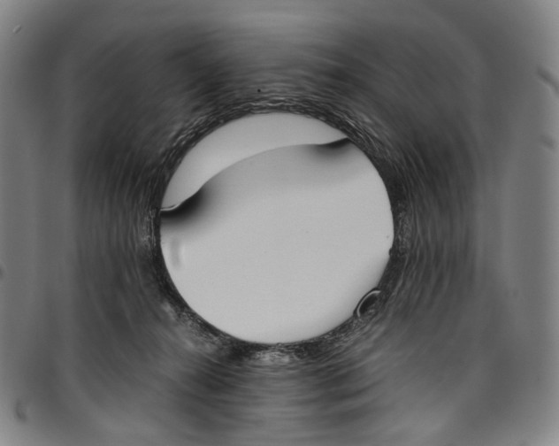 X0000096960272200802291128