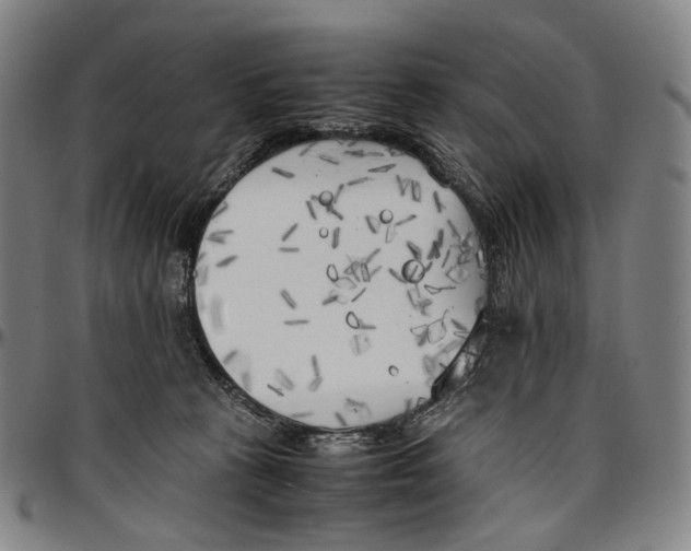 X0000096960273200802291128