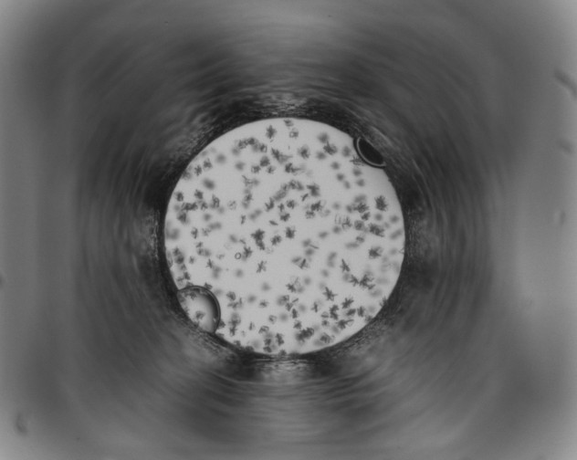 X0000096960274200802291128