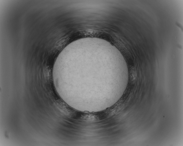 X0000096960276200802291128