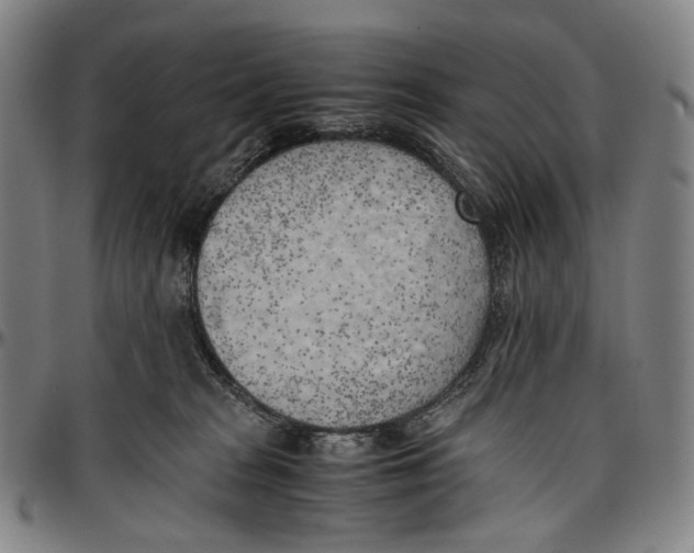 X0000096960277200802291128