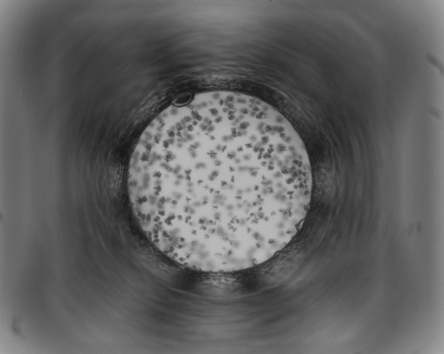 X0000096960278200802291128