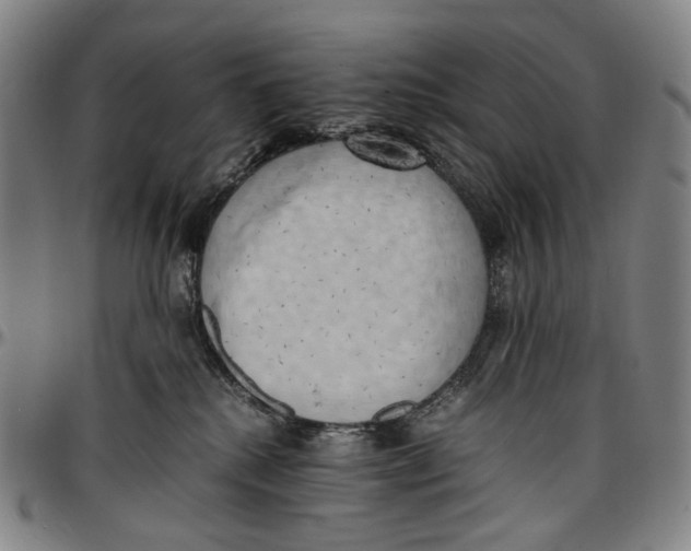 X0000096960280200802291128