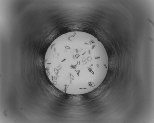 X0000096960282200802291128