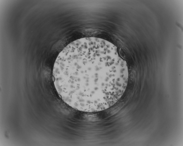 X0000096960283200802291128