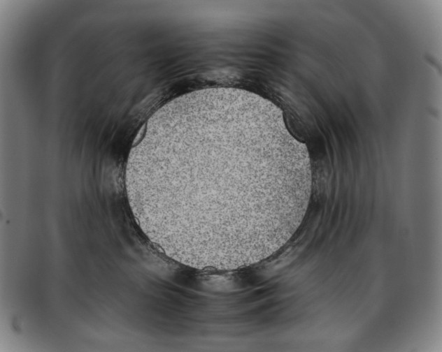 X0000096960285200802291128