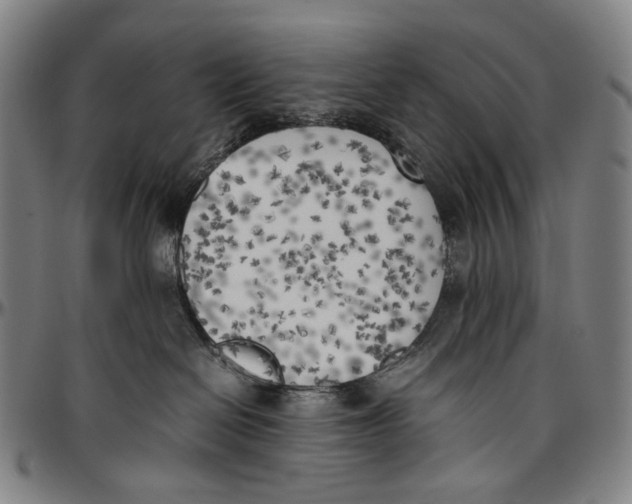 X0000096960286200802291128