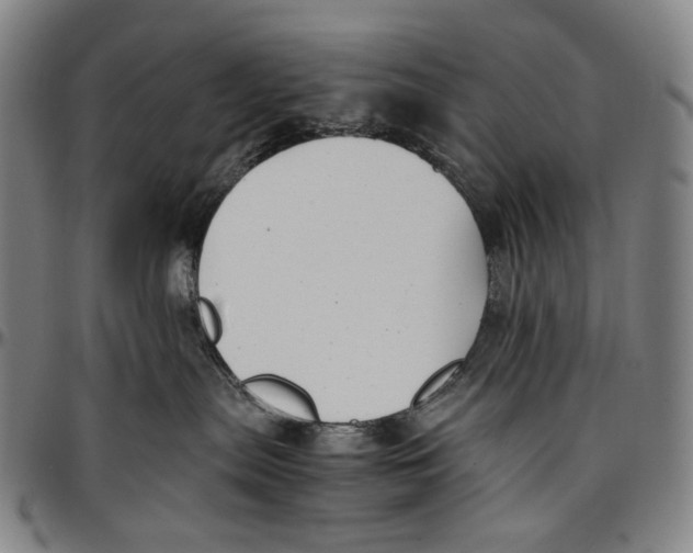 X0000096960287200802291128