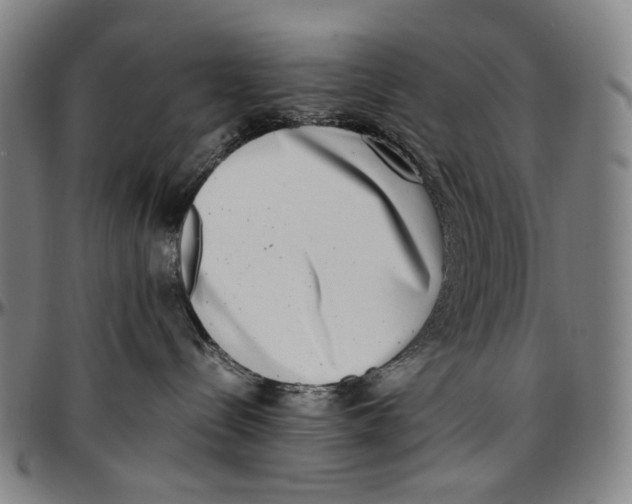 X0000096960288200802291128