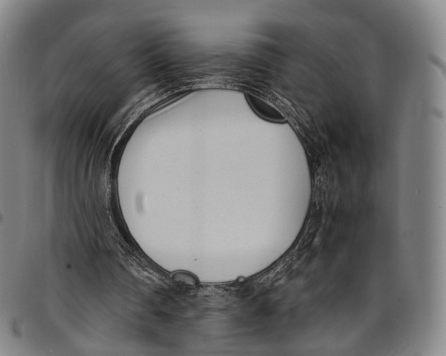 X0000096960290200802291128