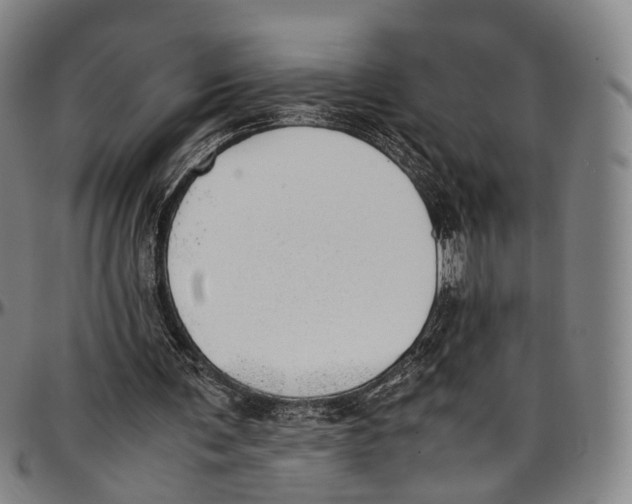 X0000096960291200802291128