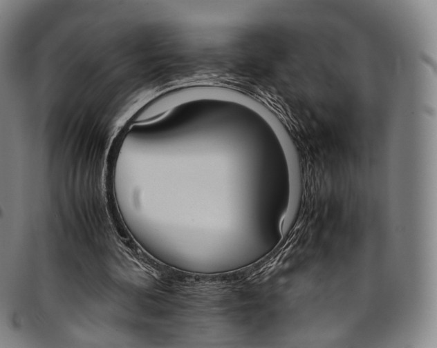 X0000096960292200802291128