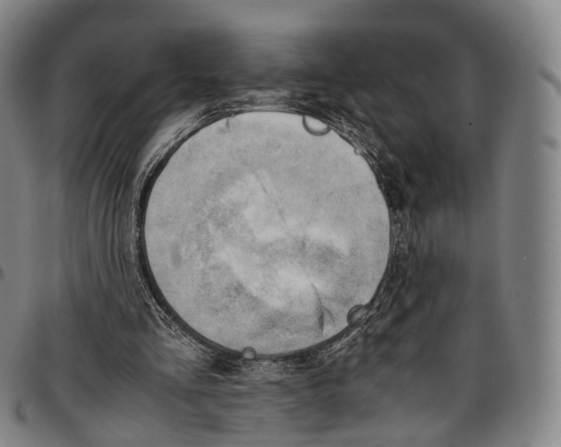 X0000096960293200802291128