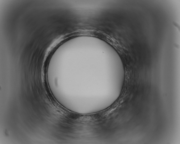 X0000096960294200802291128