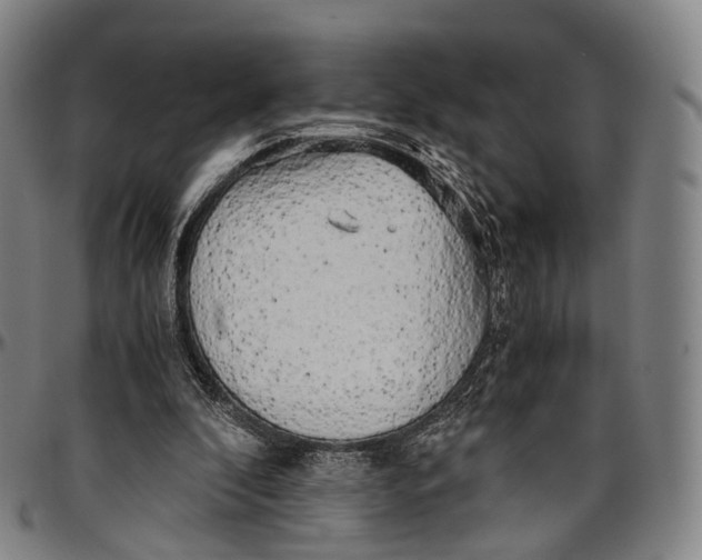 X0000096960296200802291128