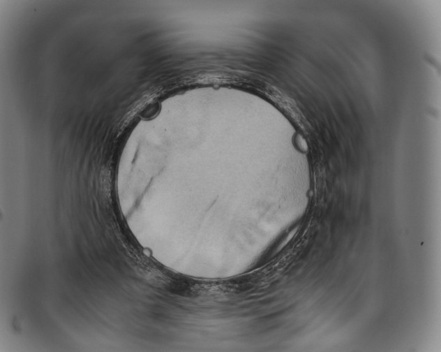 X0000096960297200802291127