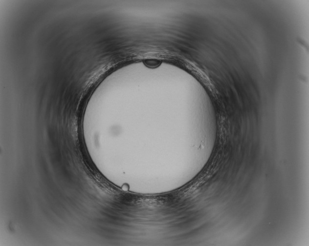 X0000096960298200802291127