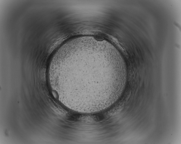 X0000096960299200802291127