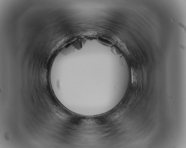 X0000096960300200802291127