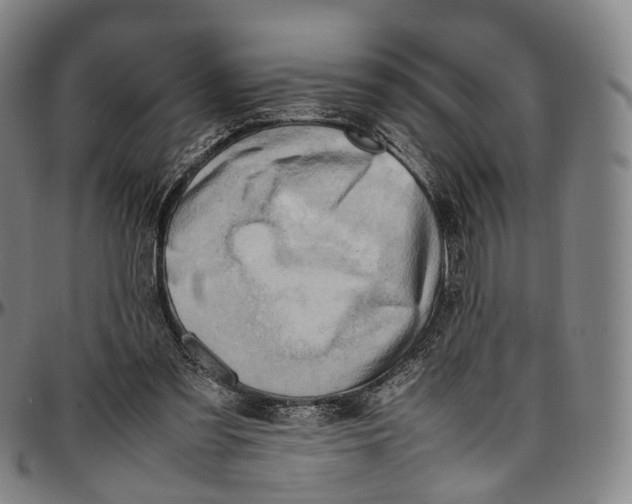 X0000096960301200802291127