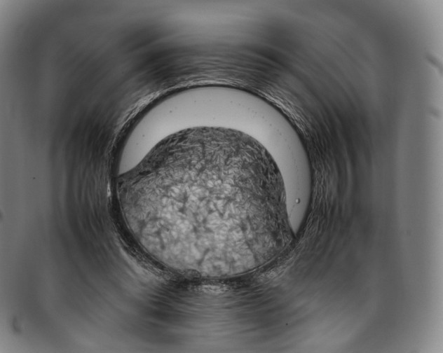 X0000096960302200802291127