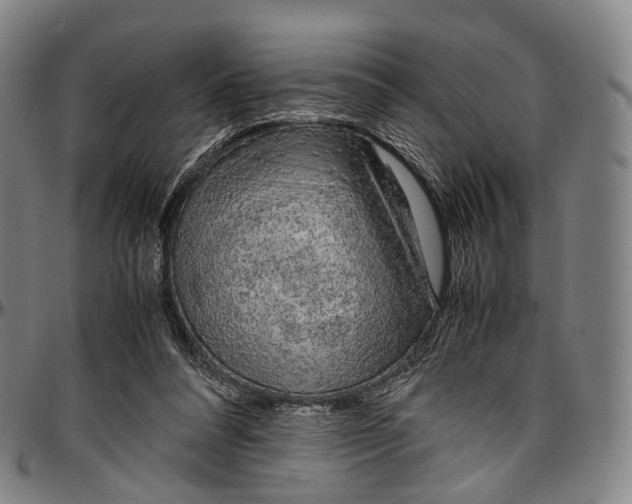 X0000096960304200802291127