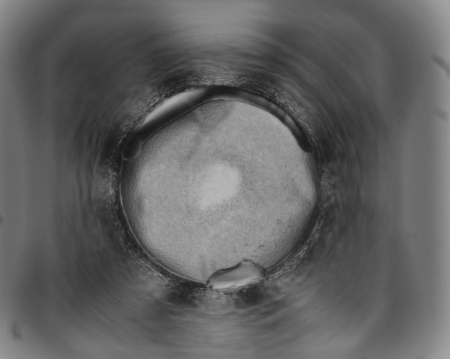 X0000096960305200802291127