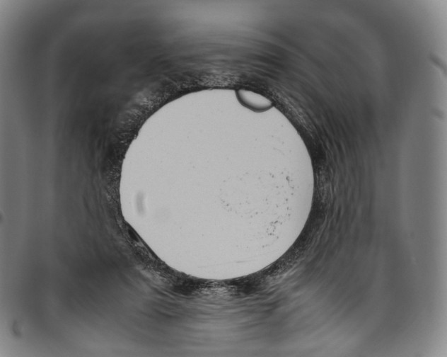 X0000096960307200802291127