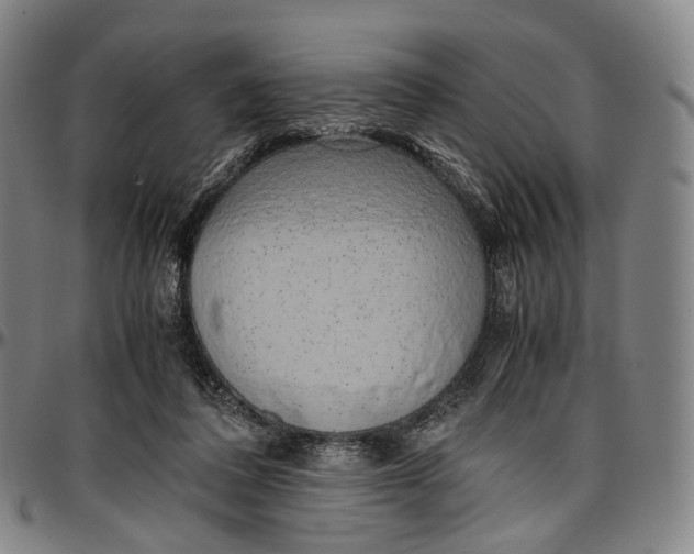 X0000096960308200802291127