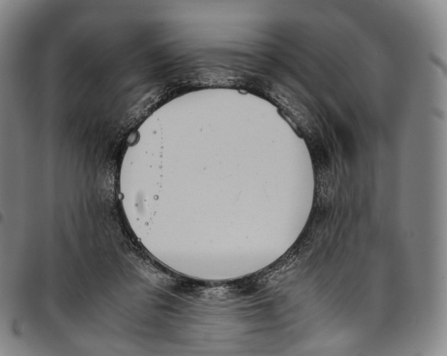 X0000096960309200802291127