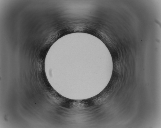 X0000096960311200802291127