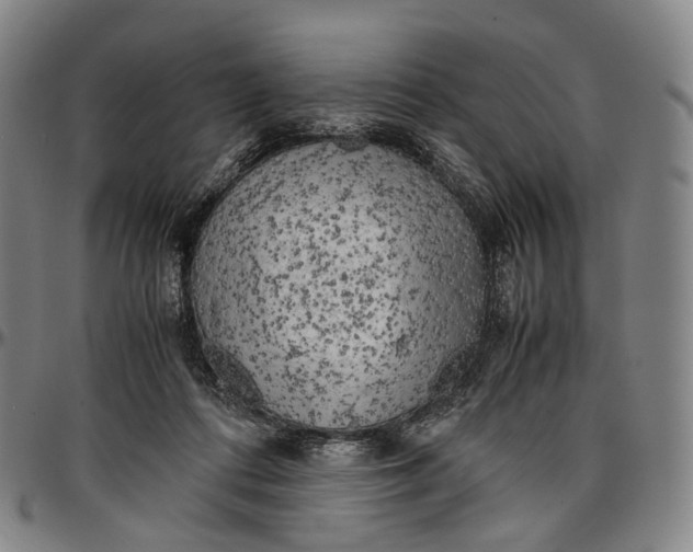 X0000096960312200802291127