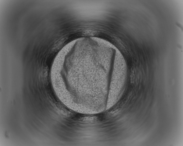 X0000096960314200802291127