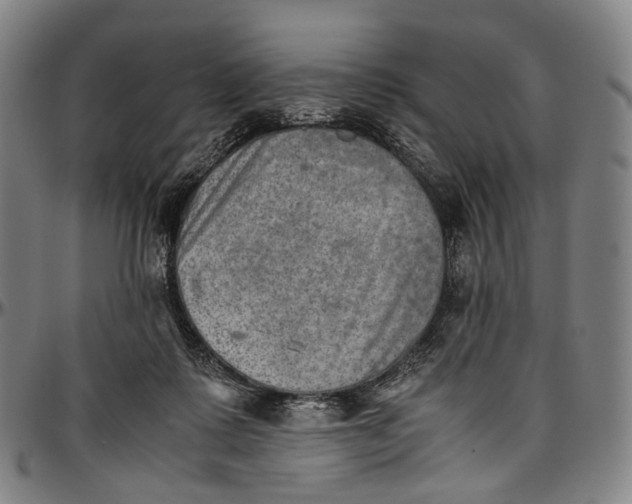 X0000096960315200802291127