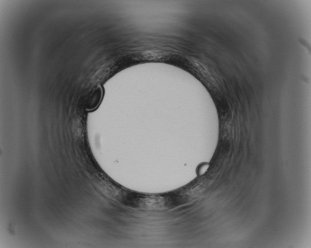 X0000096960317200802291127