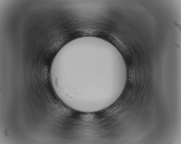 X0000096960318200802291127