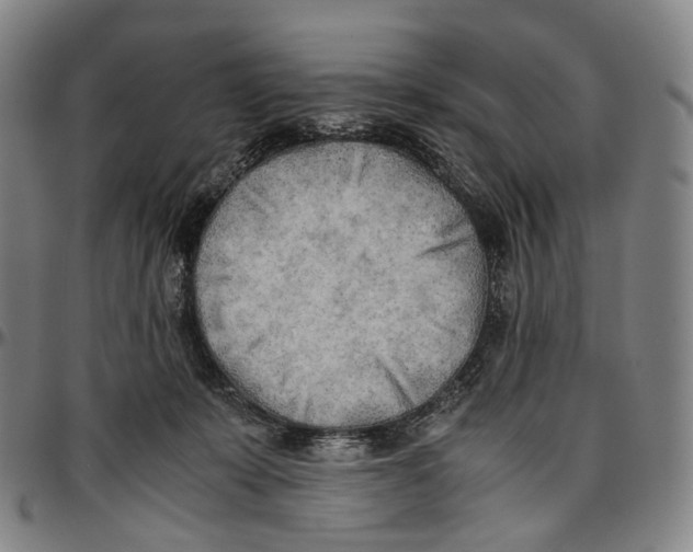 X0000096960319200802291127