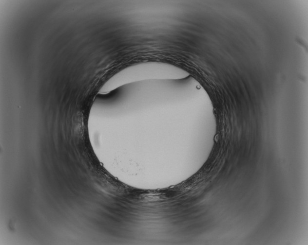 X0000096960320200802291127