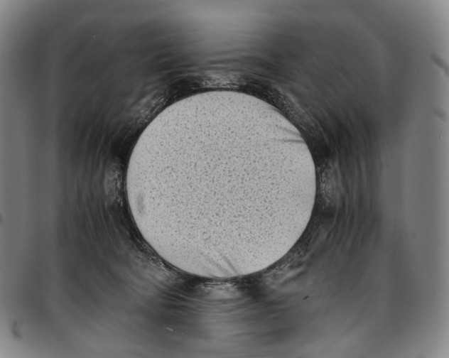 X0000096960322200802291127