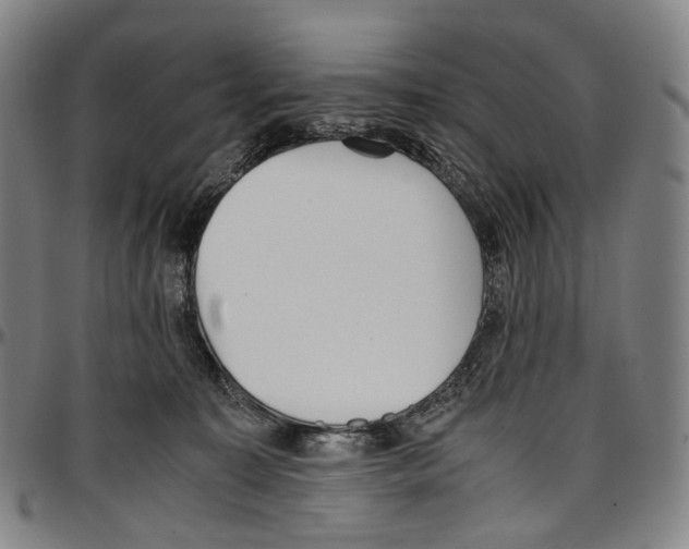 X0000096960323200802291127