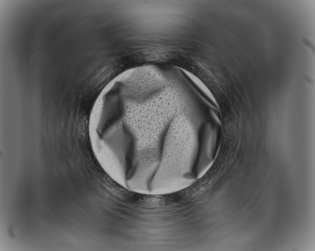 X0000096960325200802291127