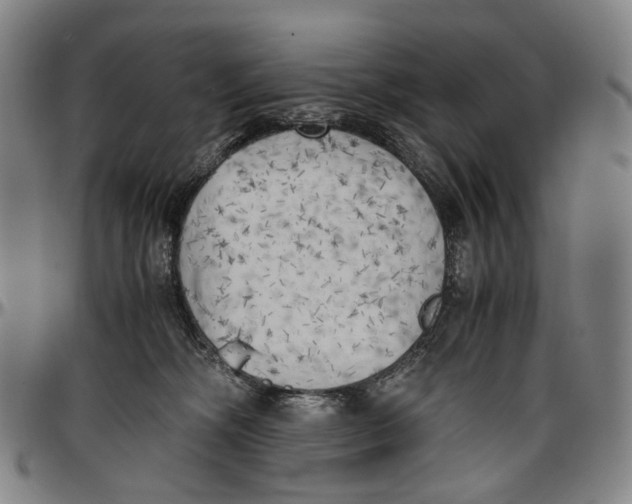 X0000096960326200802291127