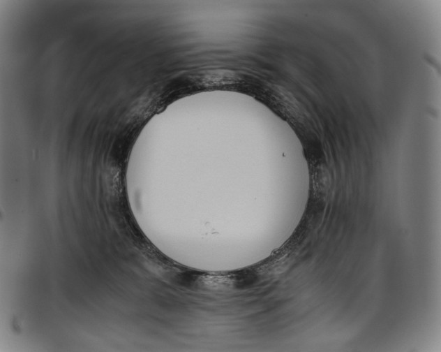 X0000096960327200802291127